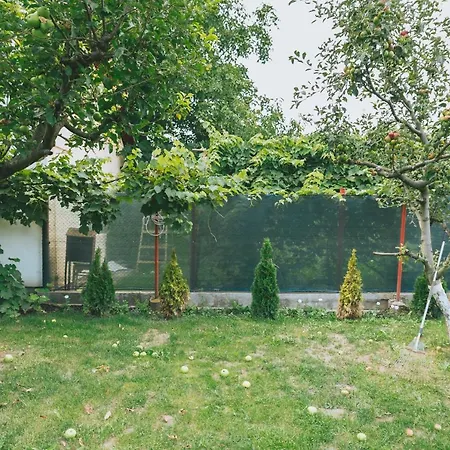 Casa Vinco Vici 图尔达