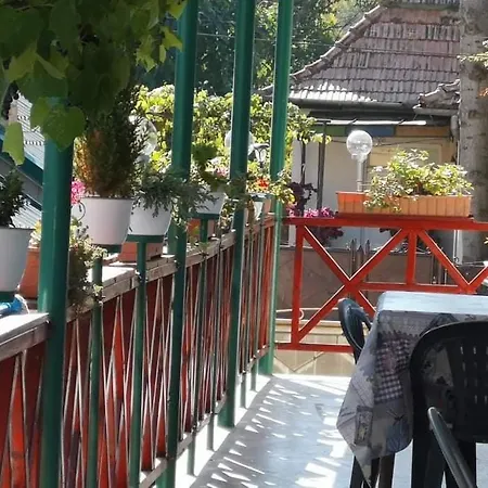 招待所 Casa Vinco Vici 2*